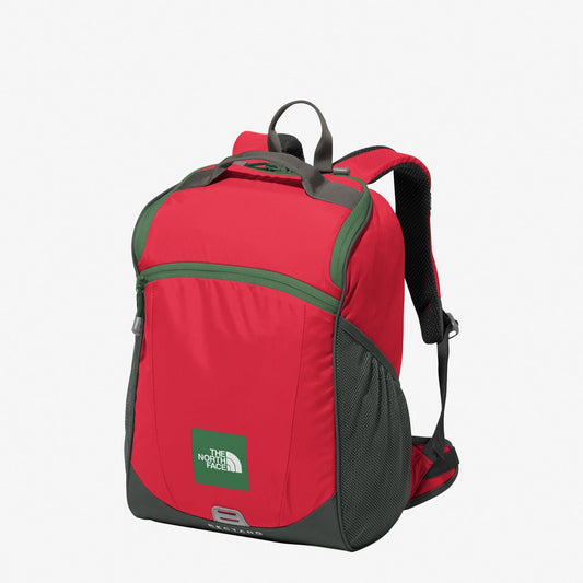 キッズ - THE NORTH FACE|レクタング NMJ72359(HIハイビスカス)
