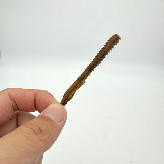 ペット用品-Won Time|国産鰻 うなぎボーンジャーキー