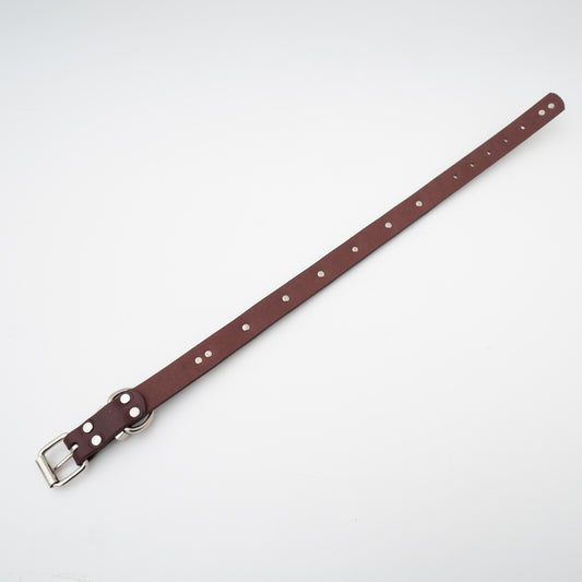 ペット用品 - DogLa|トルクコンチョカラー width 1inch