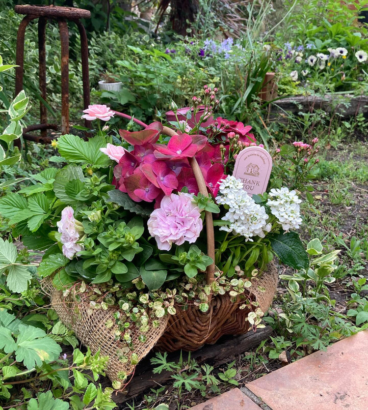 母の日オリジナル寄せ植え、続々作成中