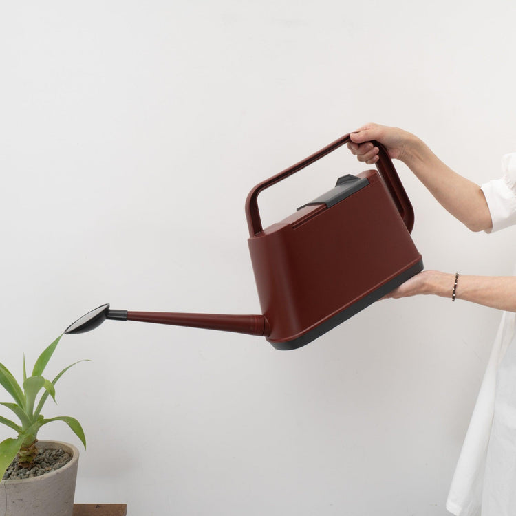失敗しない植物の育て方-水やり編 - haus-netstore