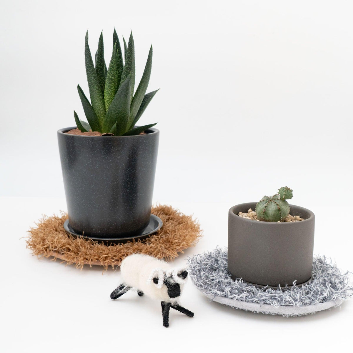 植物がより一層可愛くなる「プランツラグ」 - haus-netstore