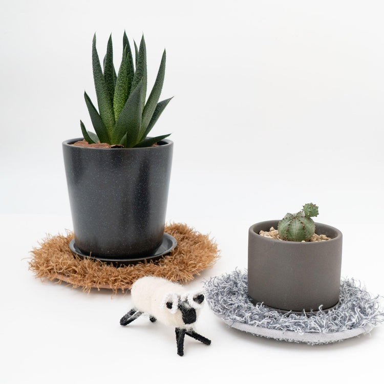 植物がより一層可愛くなる「プランツラグ」 - haus-netstore