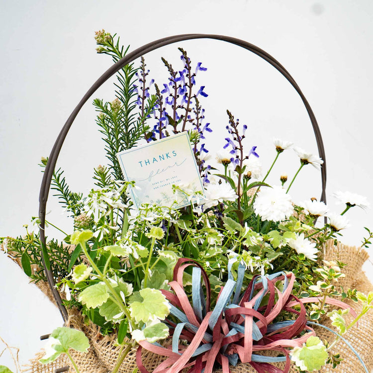 MOTHER‘S DAY 2022.5.8 - haus-netstore