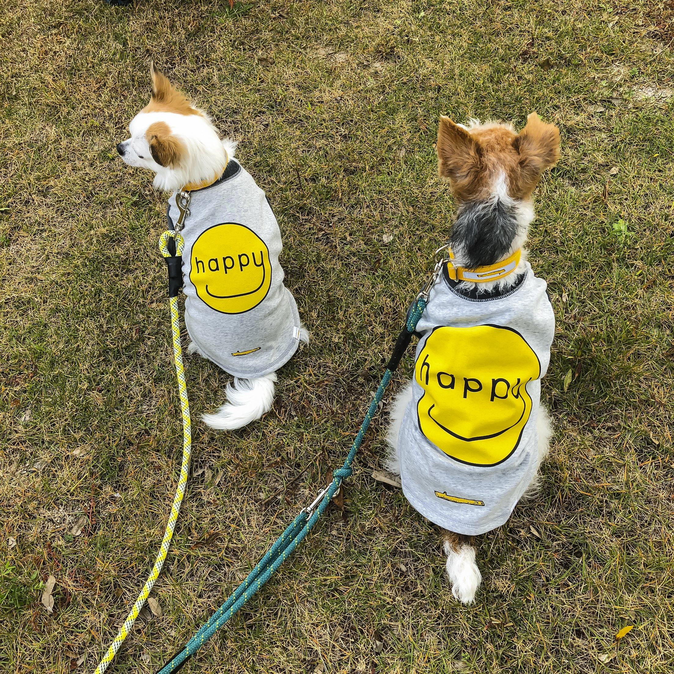 愛犬と出かけよう。ピクニック編 - haus-netstore