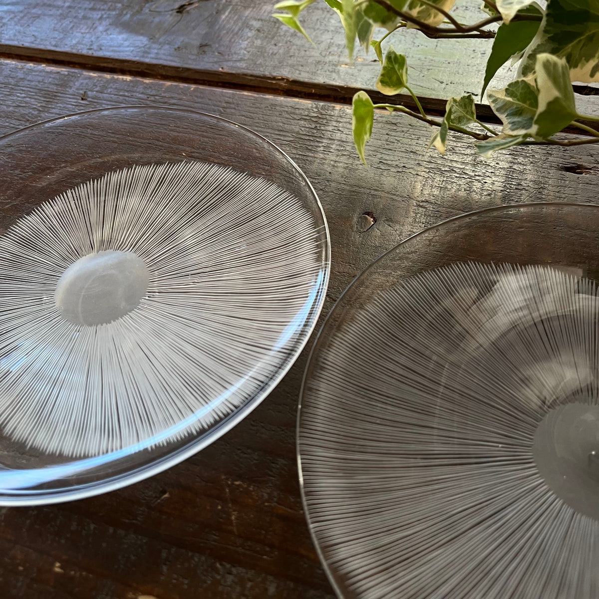 MORI GLASS　森　知恵子｜瞬き・菓子皿