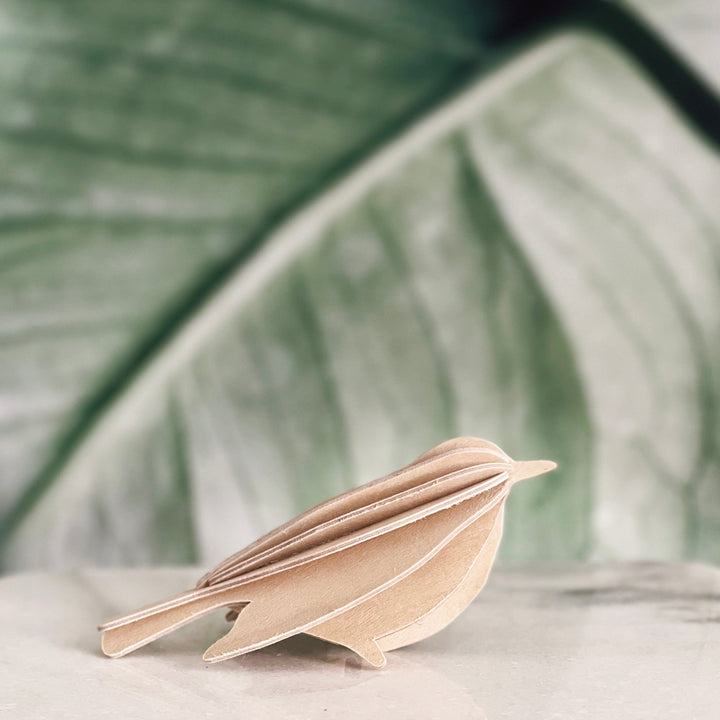 Lovi/　Bird