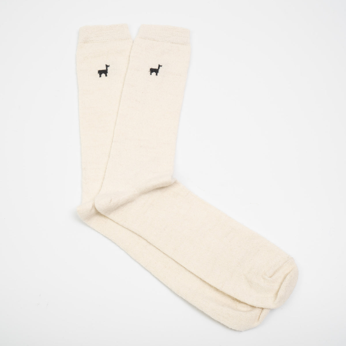 THE INOUE BROTHERS...｜Dress Socks