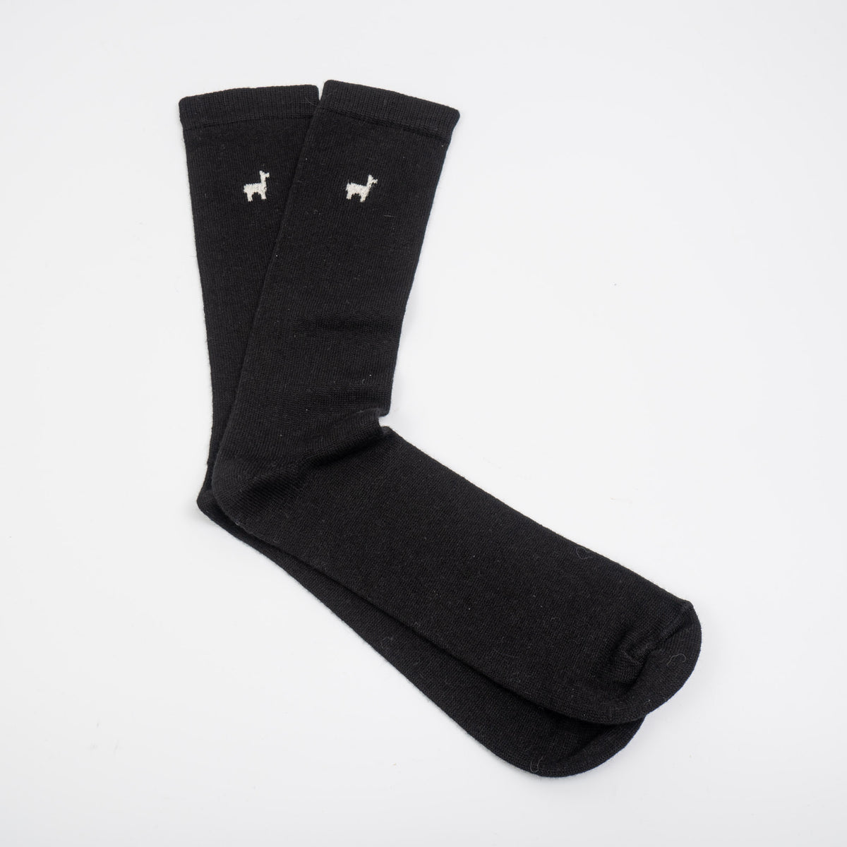 THE INOUE BROTHERS...｜Dress Socks