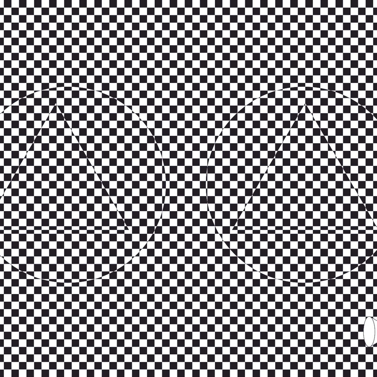 TWO FACE｜EYEWEAR CLOTH CHECK