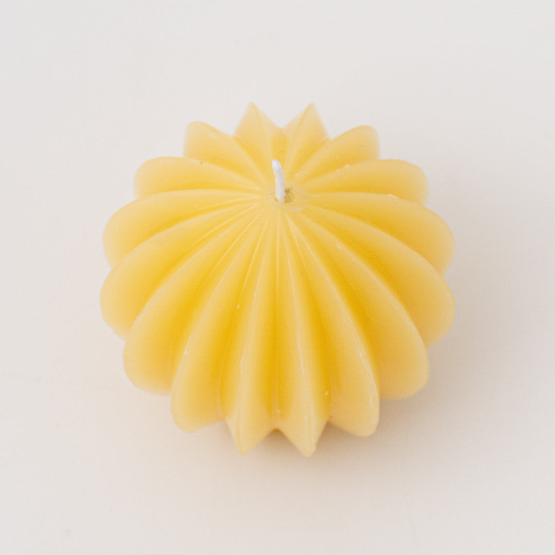 candle zucca