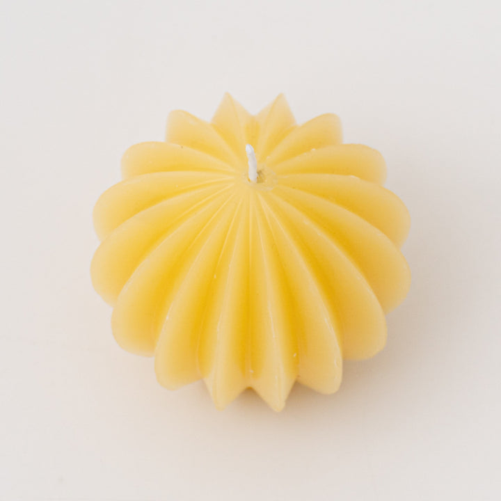 candle zucca