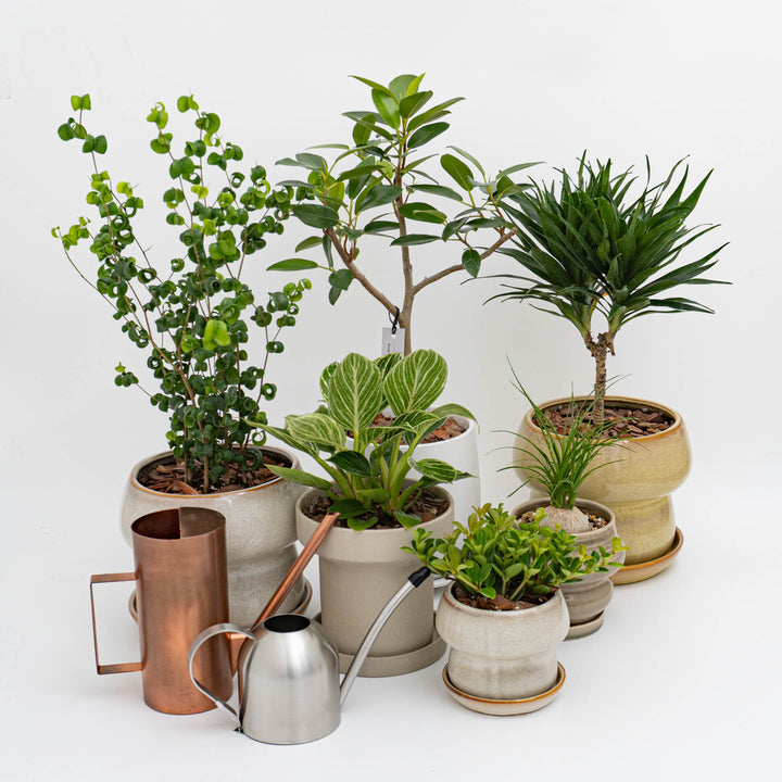 GROWER's TOOLS/　ウォータリングカン M