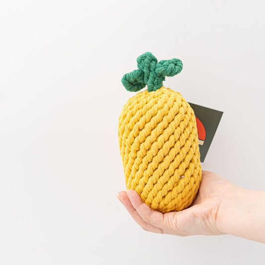 ペット用品 - JAX＆BONES｜Pineapple 8