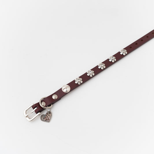 ペット用品 - DogLa｜1/2INCH WIDTH スモールドッグフラワーカラー
