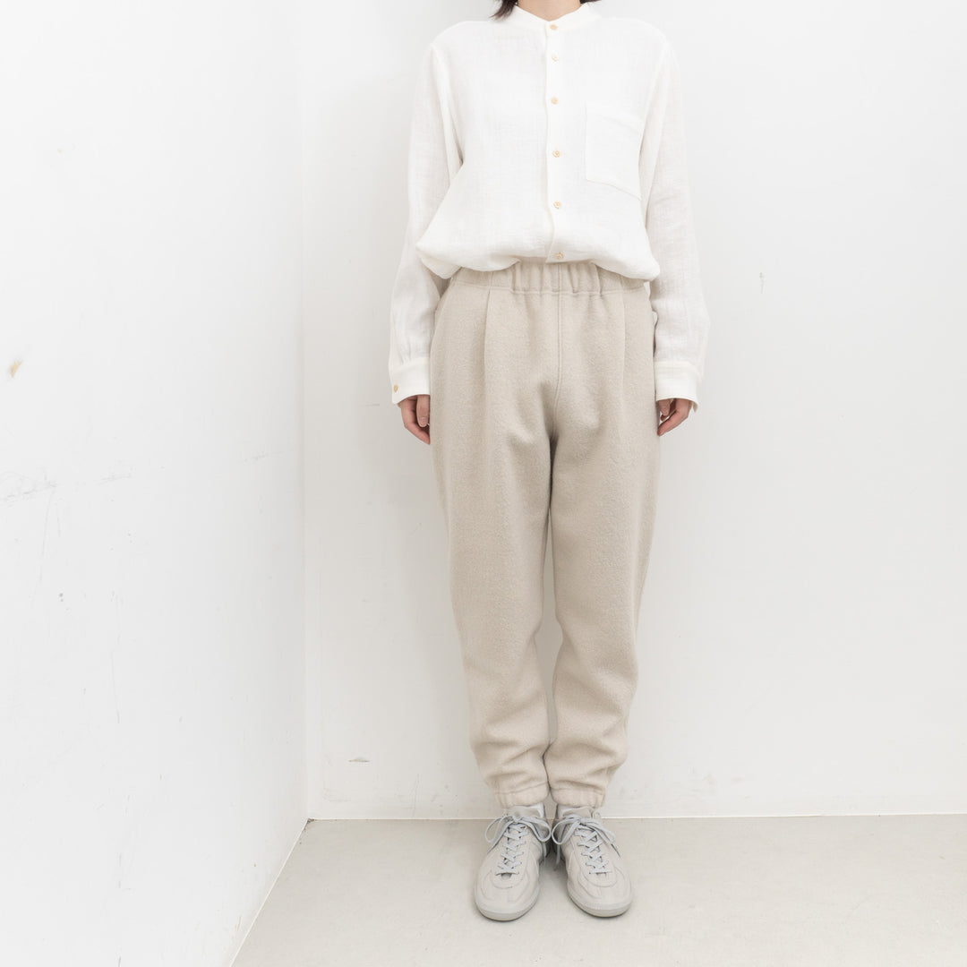 evam eva/　press wool pants E253K093