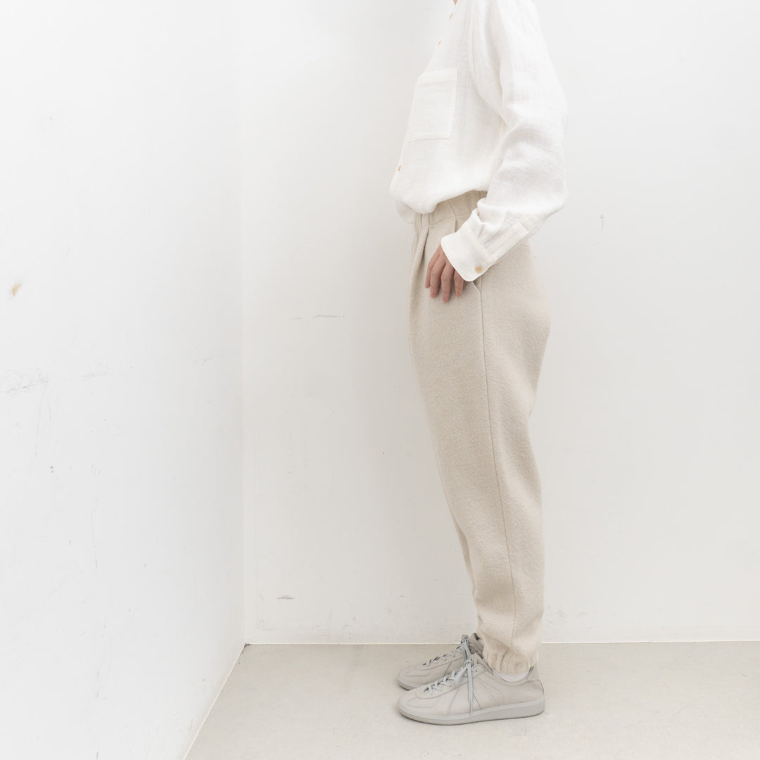 evam eva/　press wool pants E253K093