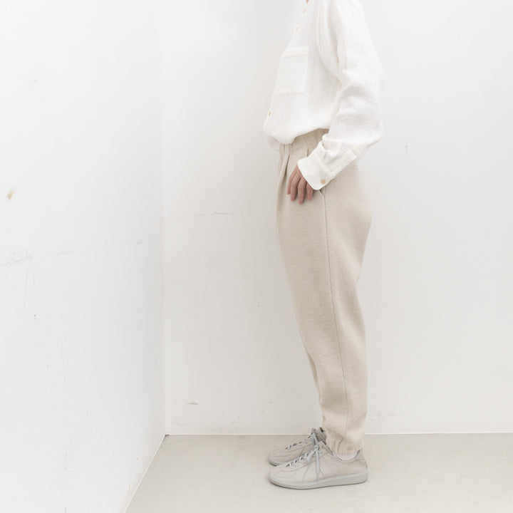 evam eva/　press wool pants E253K093