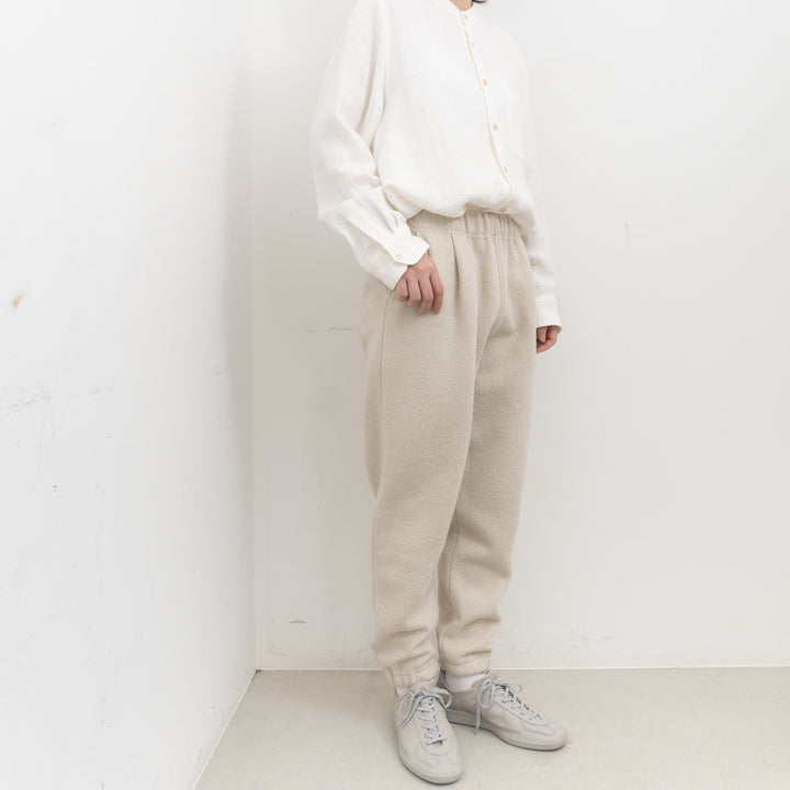 evam eva/　press wool pants E253K093