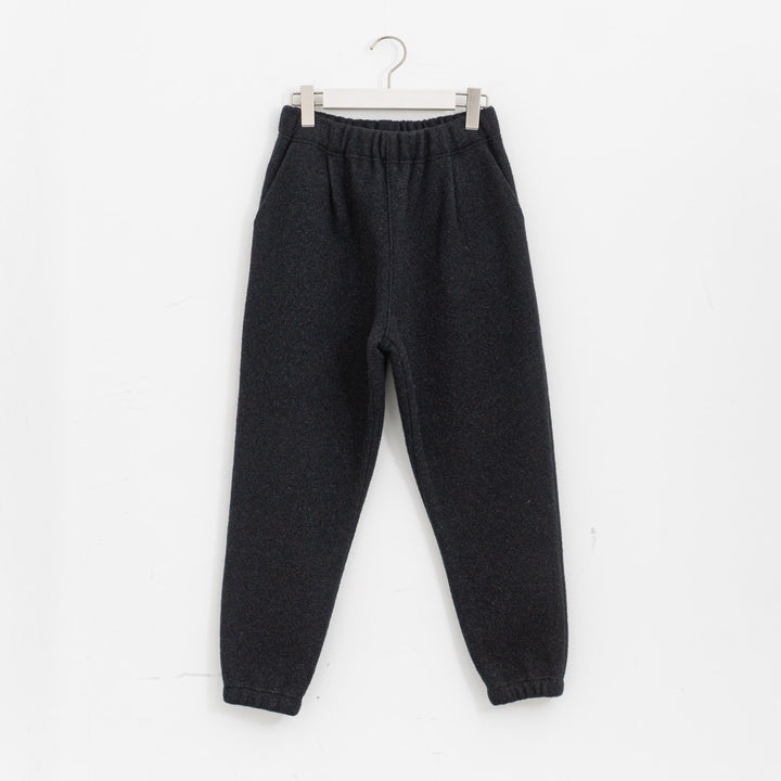 evam eva/　press wool pants E253K093