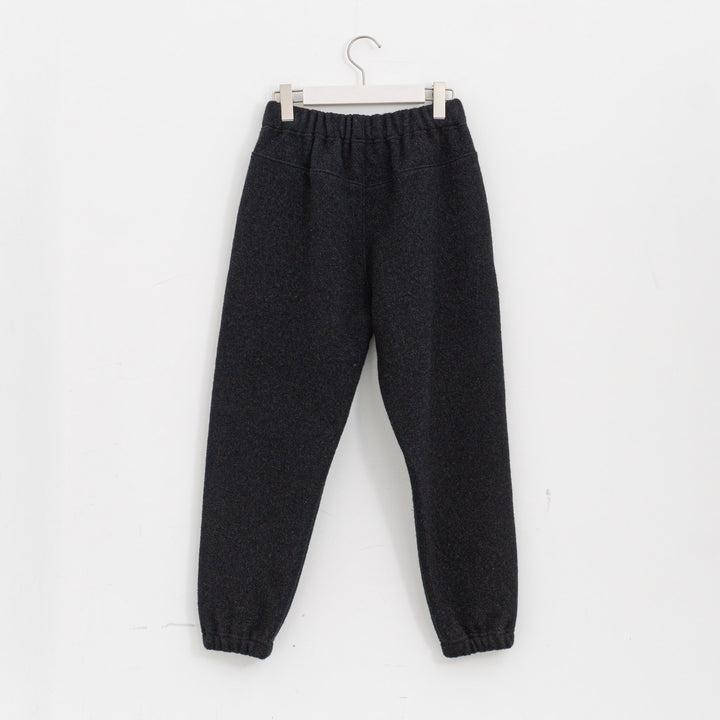 evam eva/　press wool pants E253K093