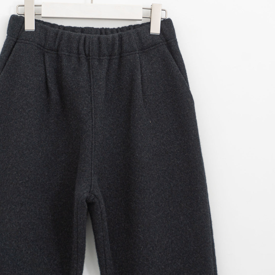 evam eva/　press wool pants E253K093