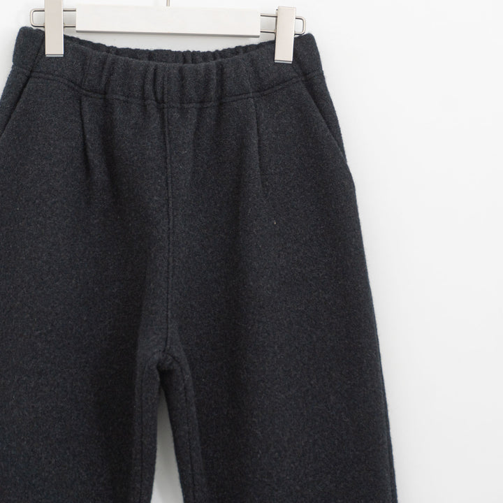 evam eva/　press wool pants E253K093