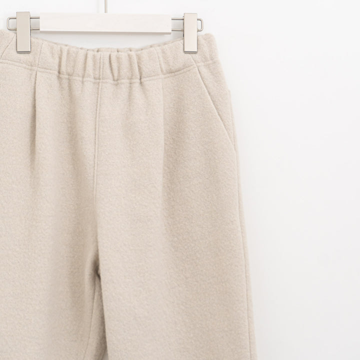 evam eva/　press wool pants E253K093