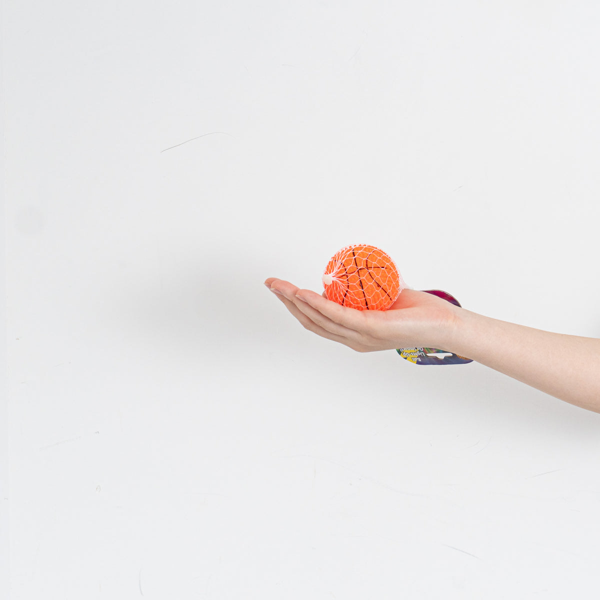 ペット用品 - Amazing Pet Products｜Lighting Basket Ball
