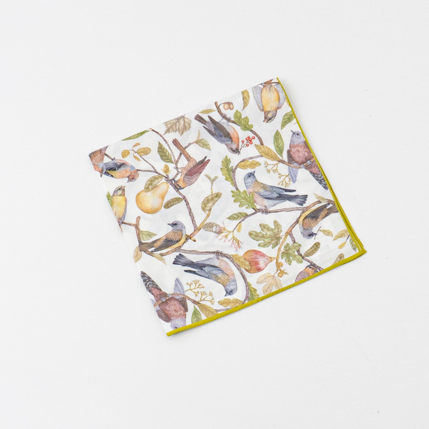 ASEEDONCLÖUD｜Handkerchief basic-Migratory Birds 001061-Y