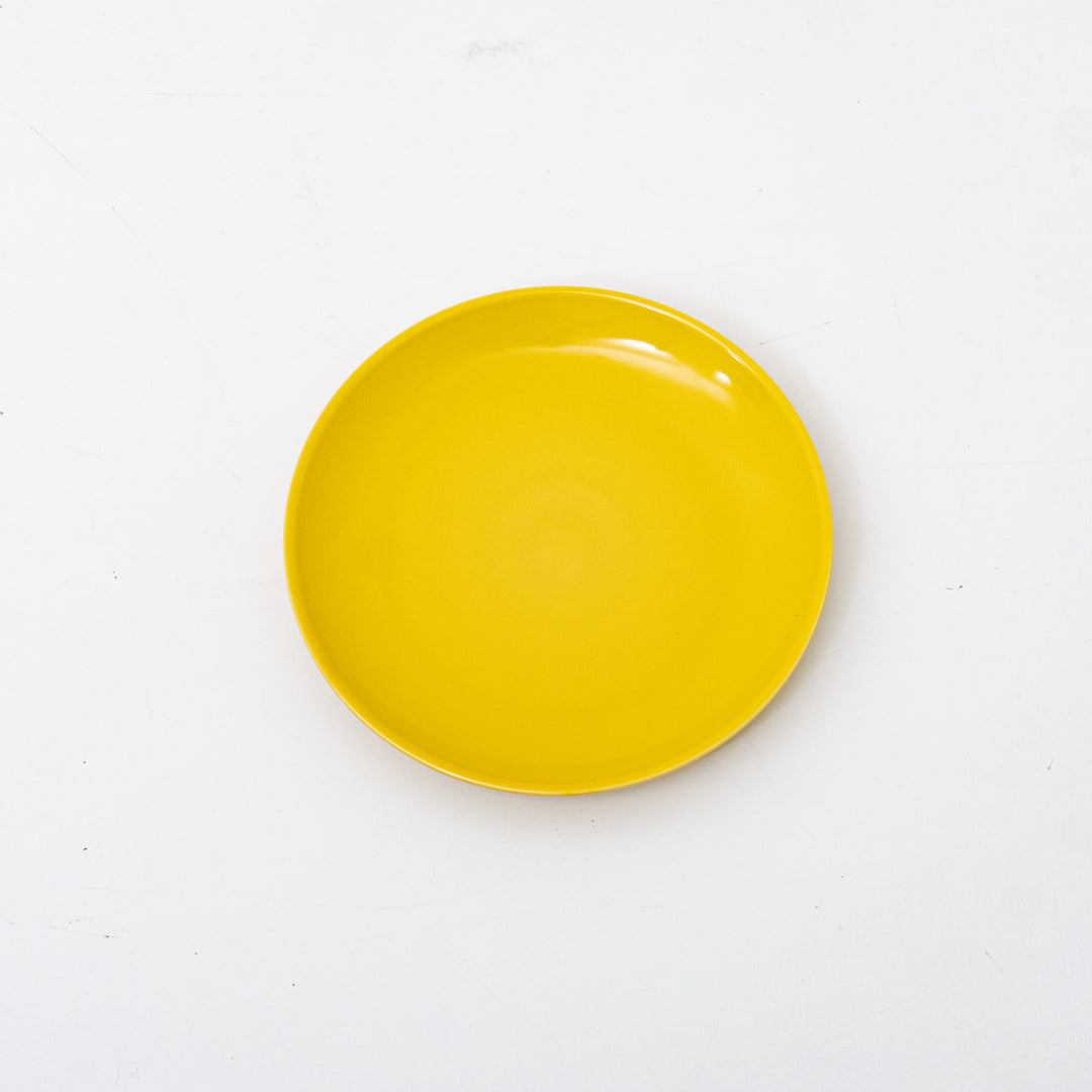 Common/　Plate 210-suomi