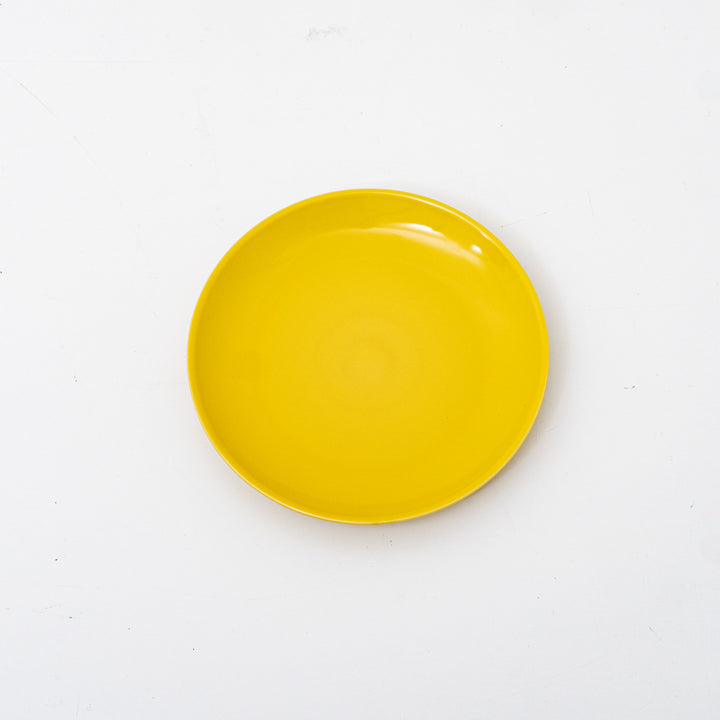 Common/　Plate 210-suomi