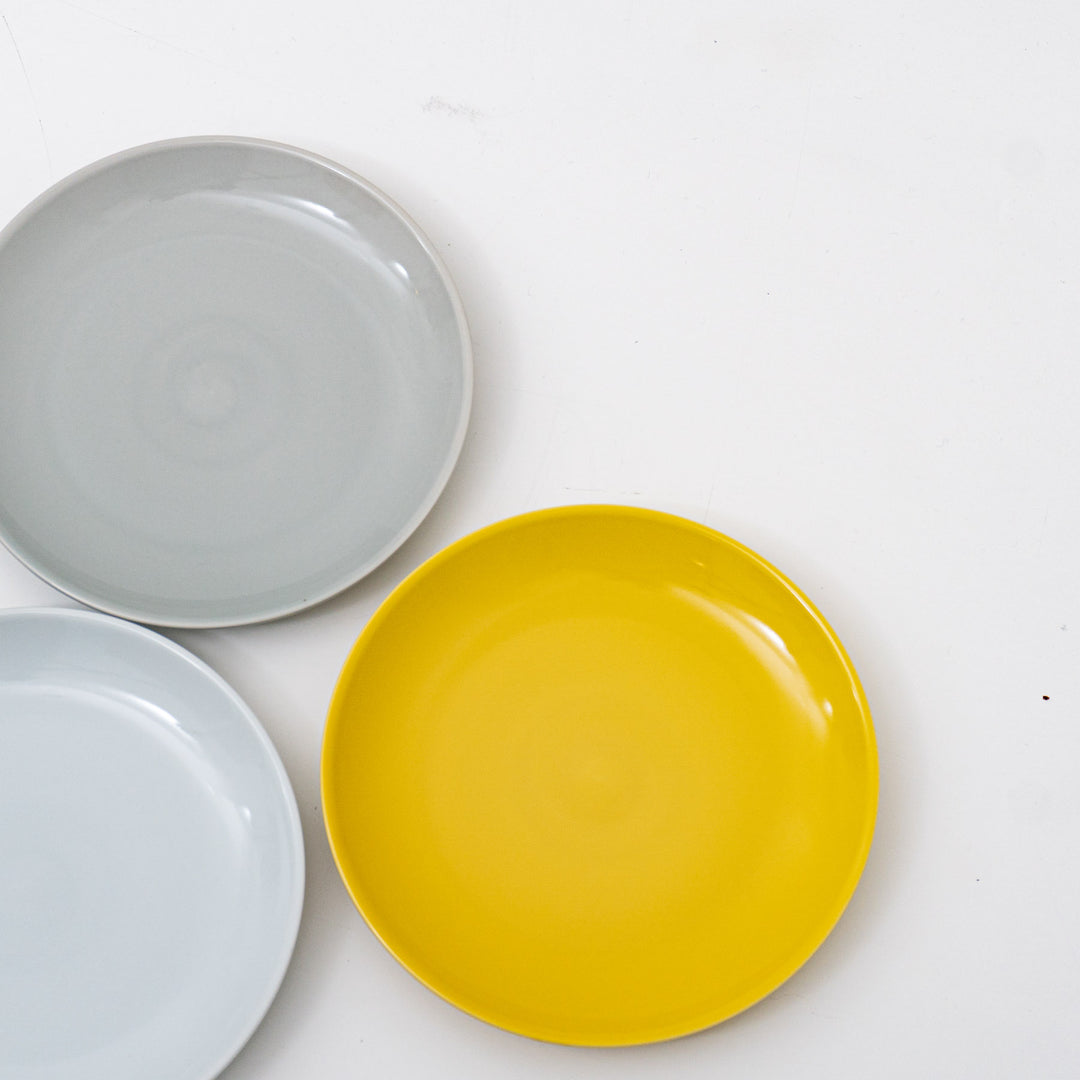 Common/　Plate 210-suomi