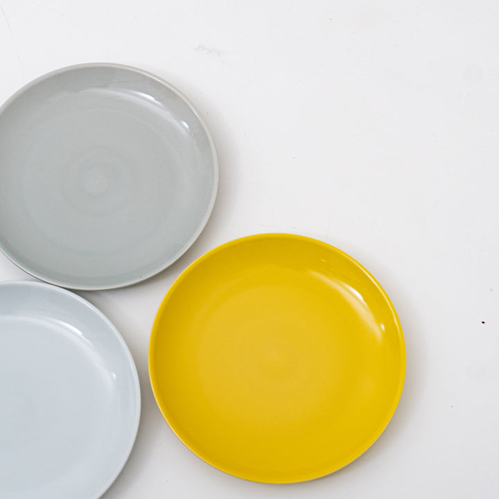 Common/　Plate 210-suomi