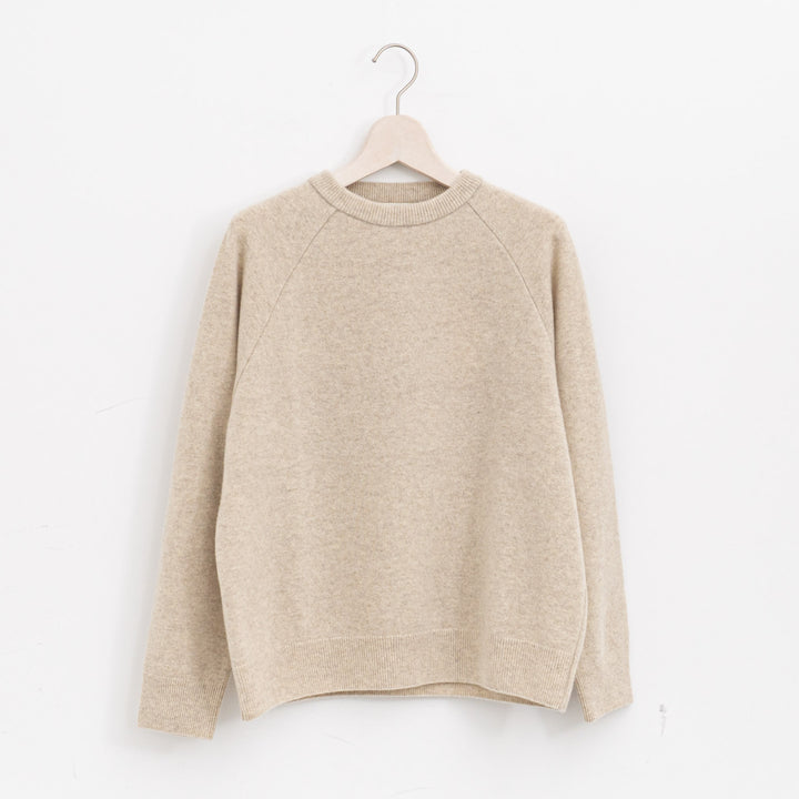 evam eva/　press wool ranglan pullover E253K176