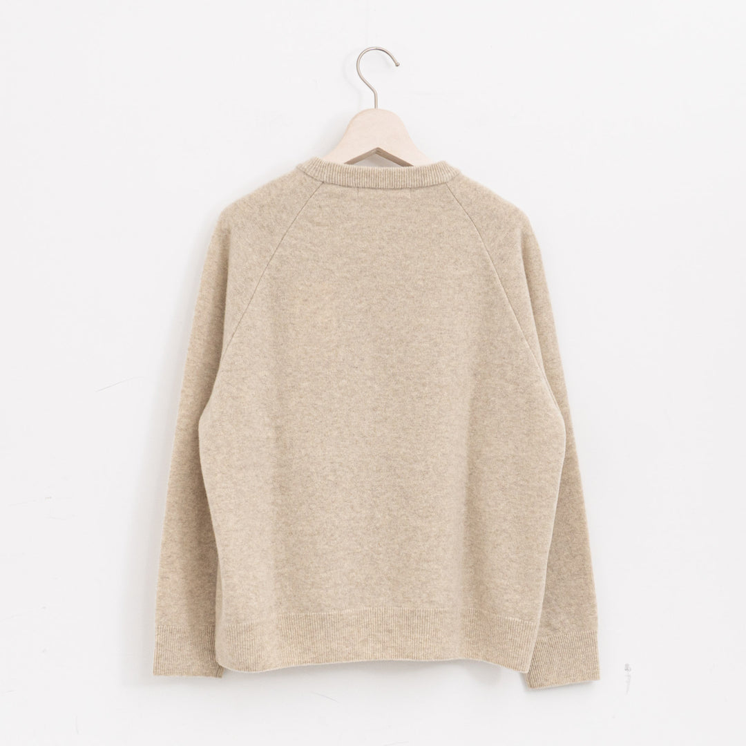 evam eva/　press wool ranglan pullover E253K176