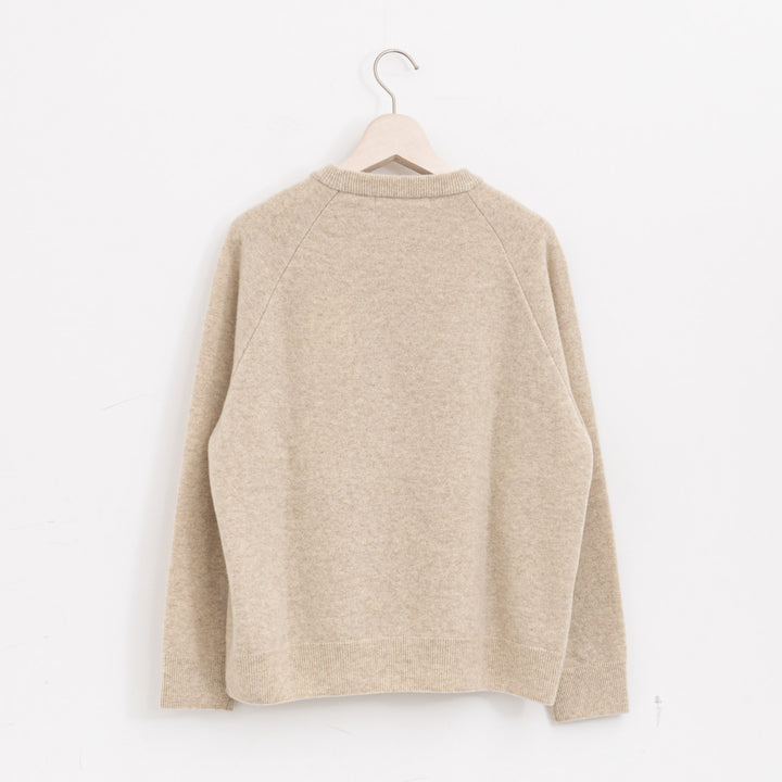 evam eva/　press wool ranglan pullover E253K176