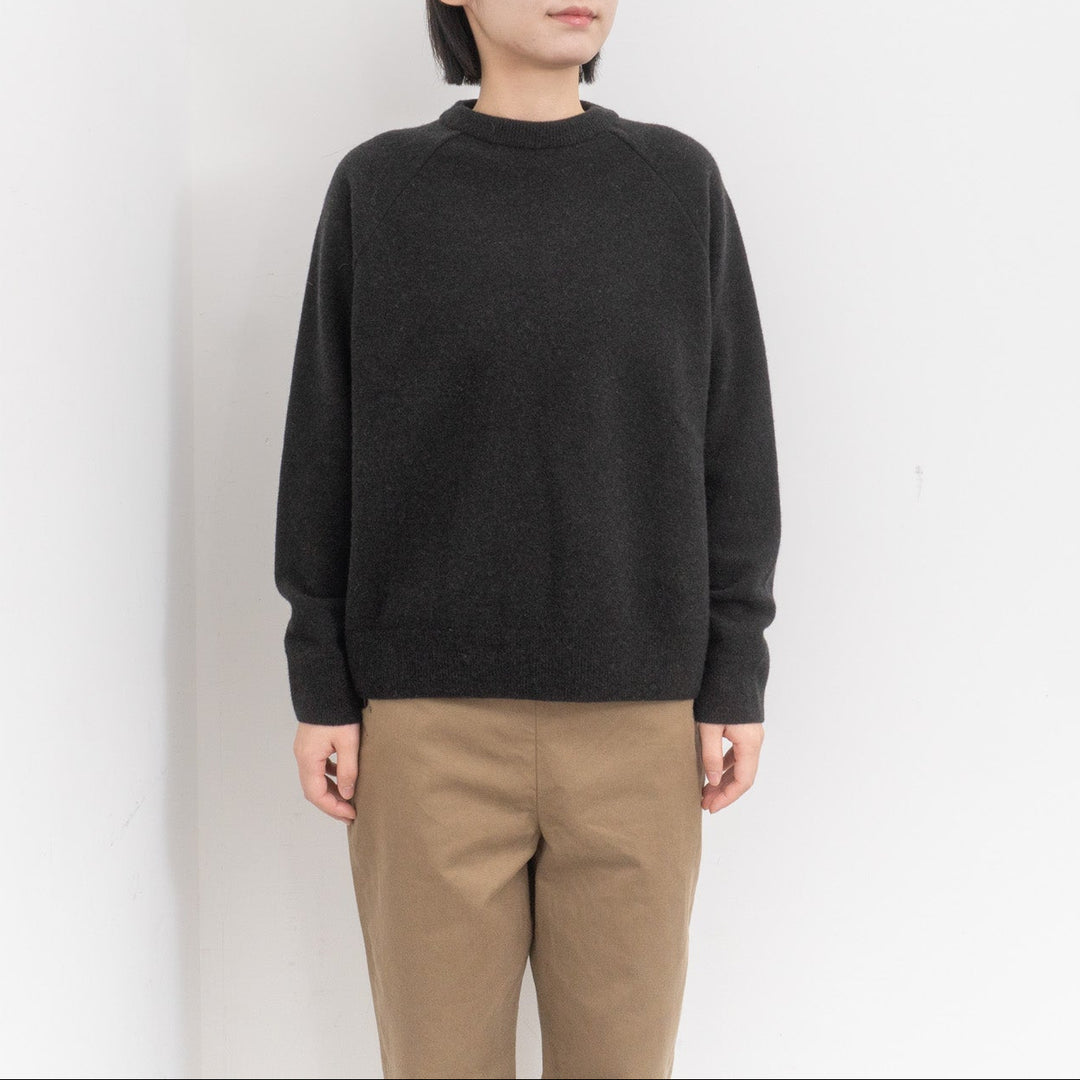 evam eva/　press wool ranglan pullover E253K176