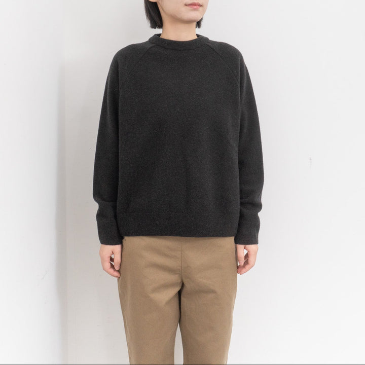 evam eva/　press wool ranglan pullover E253K176
