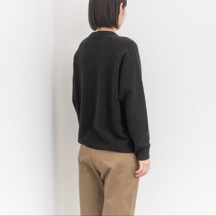 evam eva/　press wool ranglan pullover E253K176