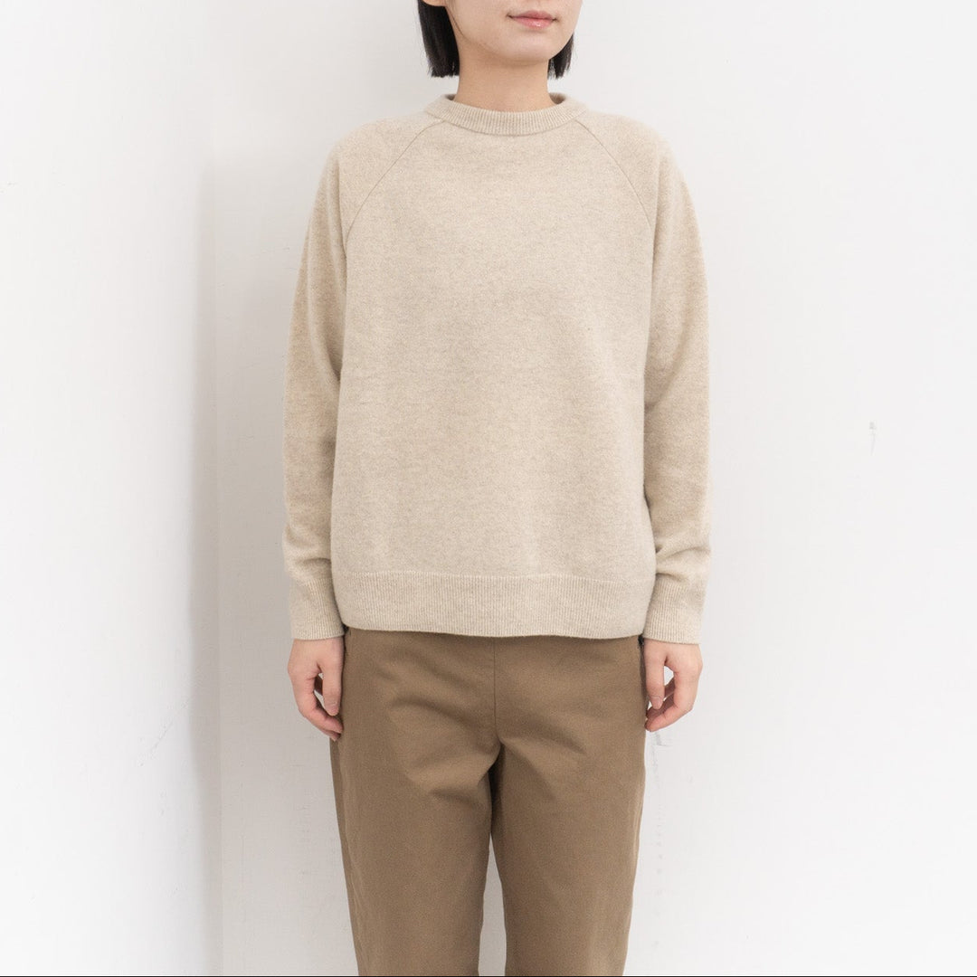 evam eva/　press wool ranglan pullover E253K176