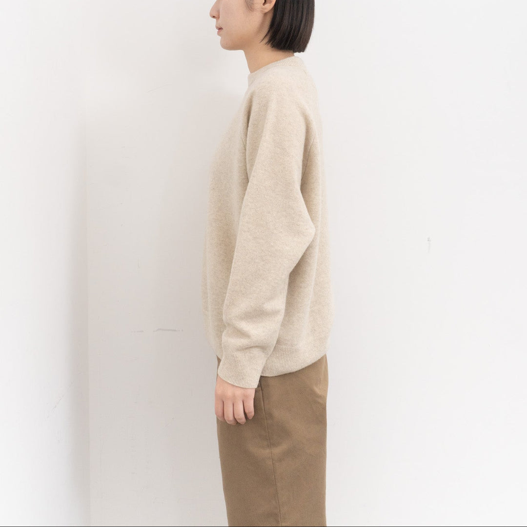 evam eva/　press wool ranglan pullover E253K176