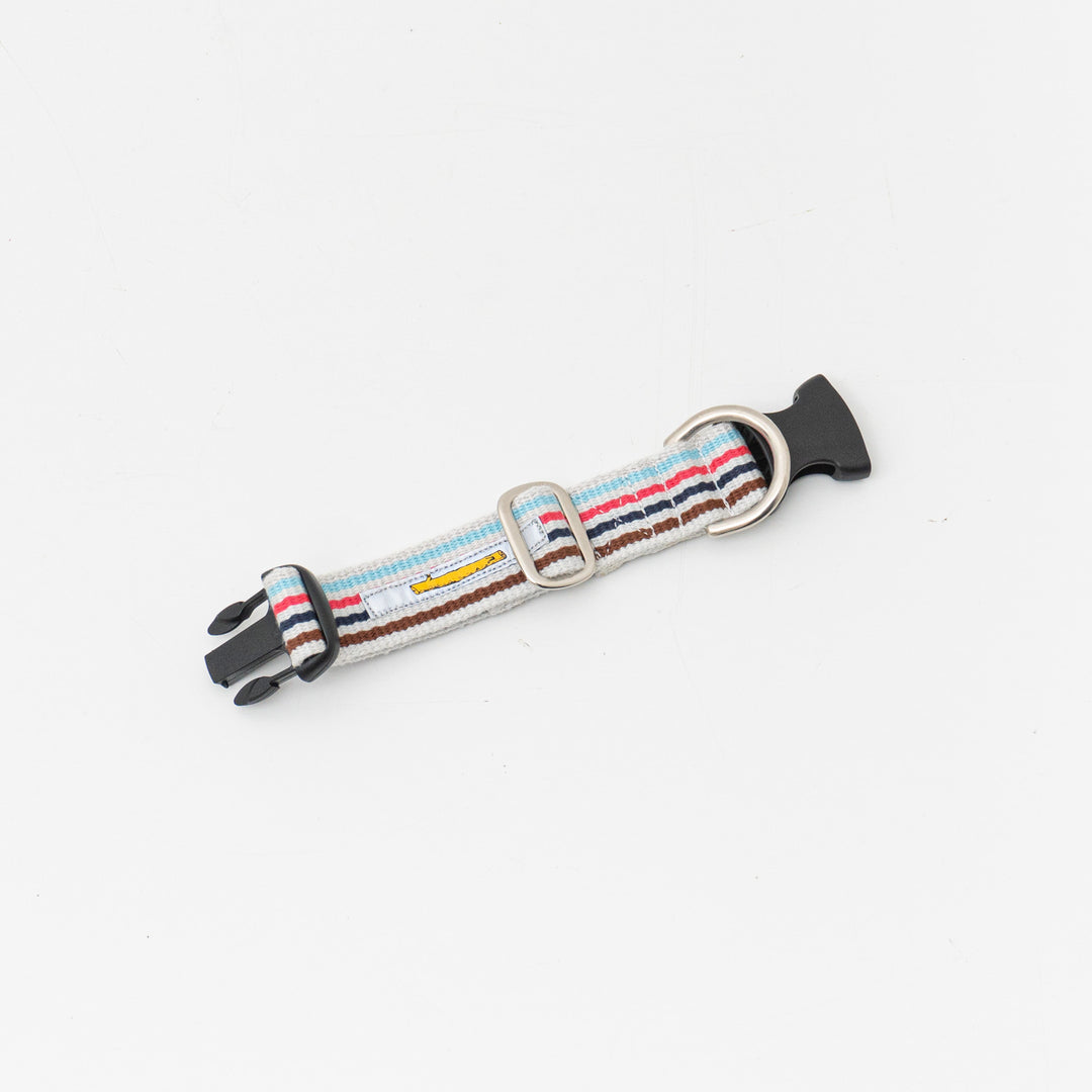 ペット用品 - GEORGE/　Candy pop Short Collar Sサイズ