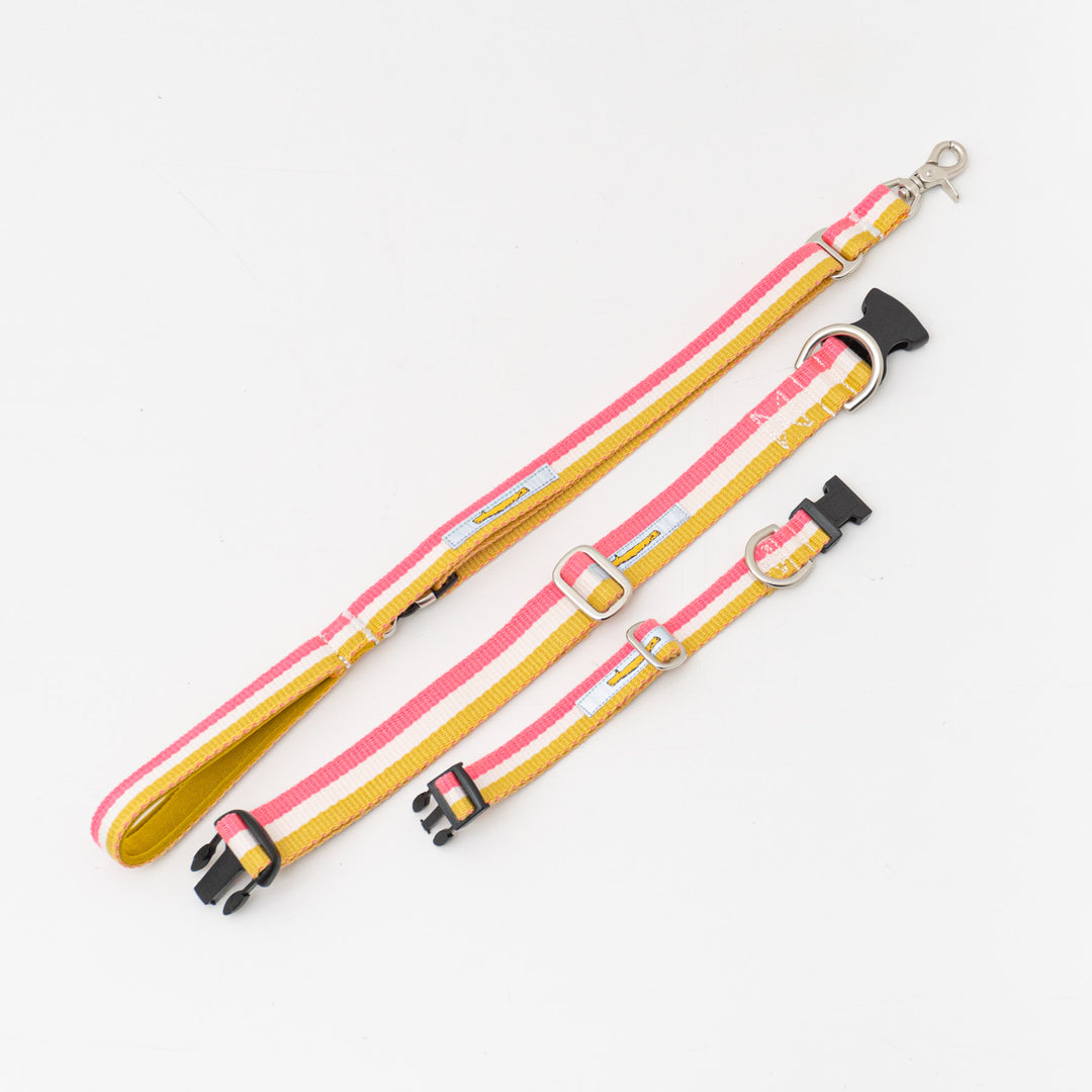 ペット用品 - GEORGE/　Candy pop Short Lead Sサイズ