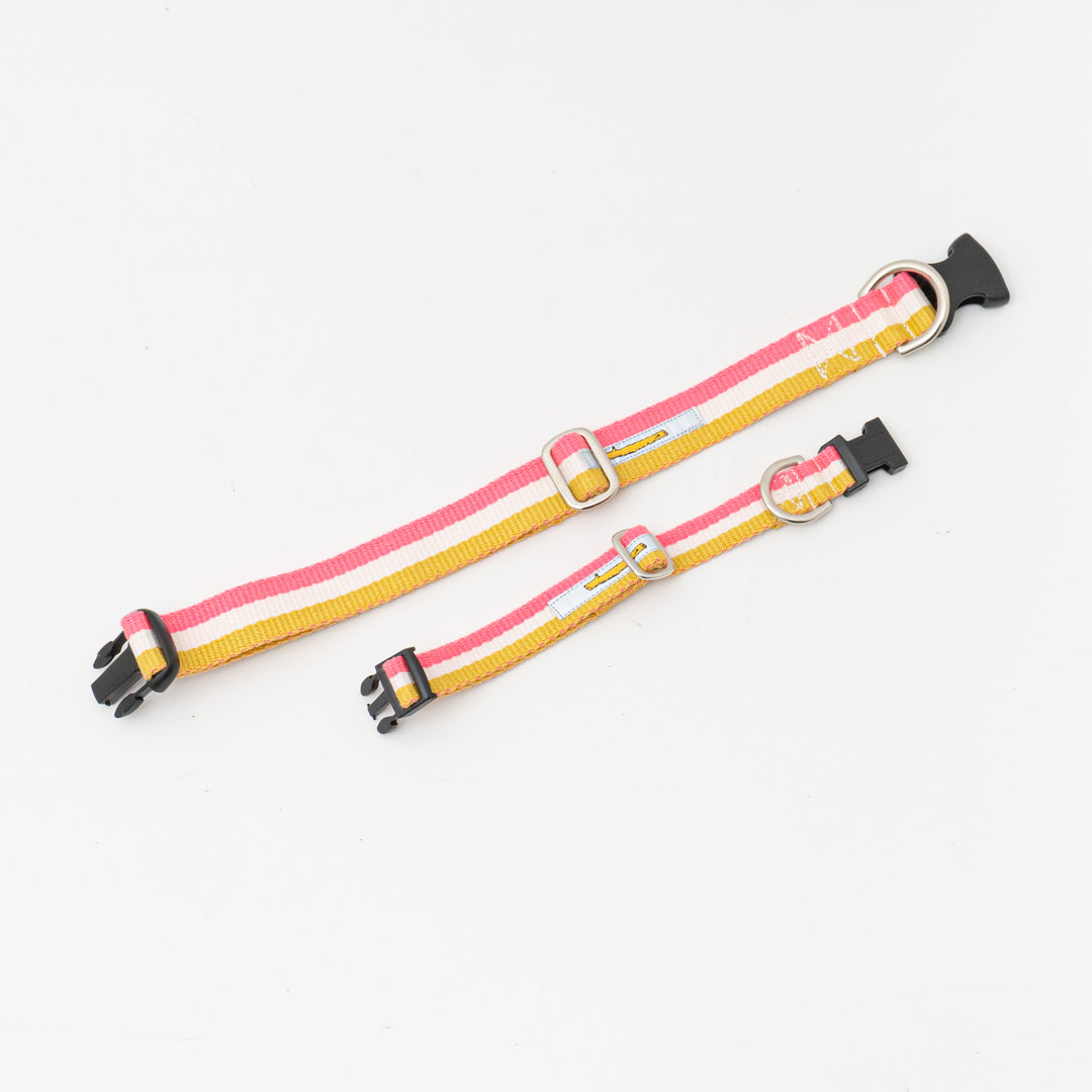 ペット用品 - GEORGE/　Candy pop Collar Lサイズ