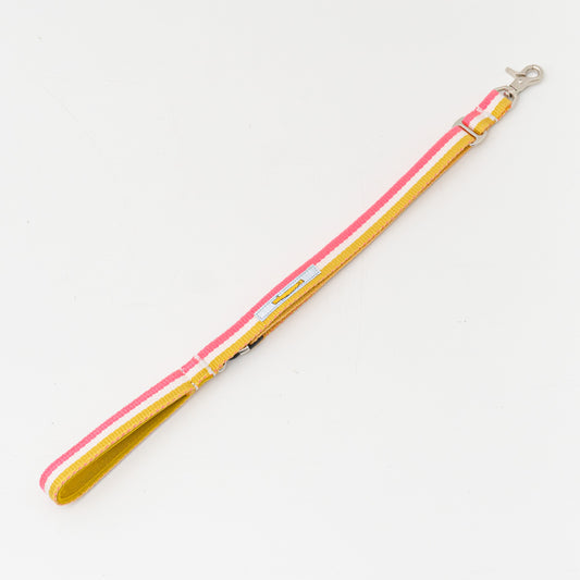 ペット用品 - GEORGE｜Candy pop Short Lead Sサイズ（チェリー）