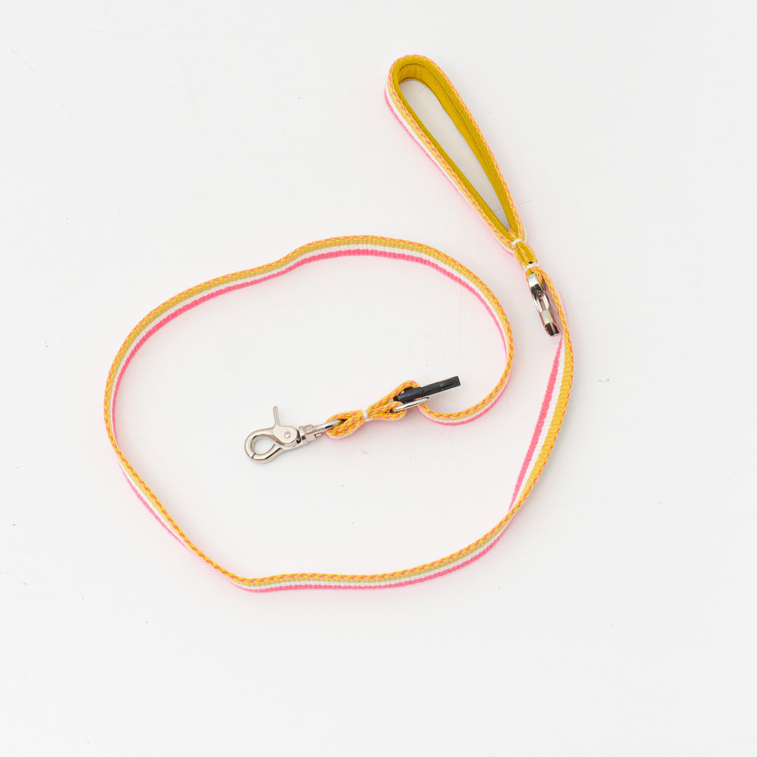 ペット用品 - GEORGE/　Candy pop Short Lead Sサイズ