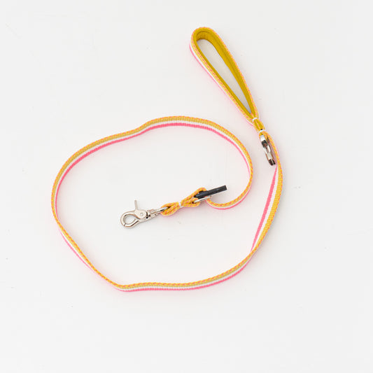 ペット用品 - GEORGE｜Candy pop Short Lead Sサイズ
