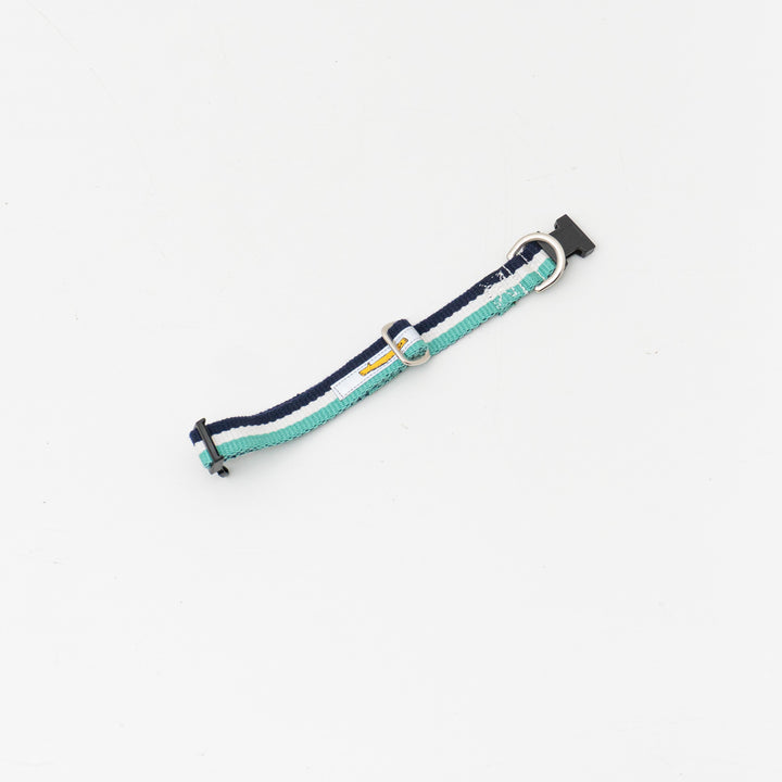 ペット用品 - GEORGE/　Candy pop Collar Sサイズ