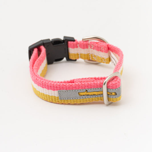 ペット用品 - GEORGE｜Candy pop Collar Sサイズ